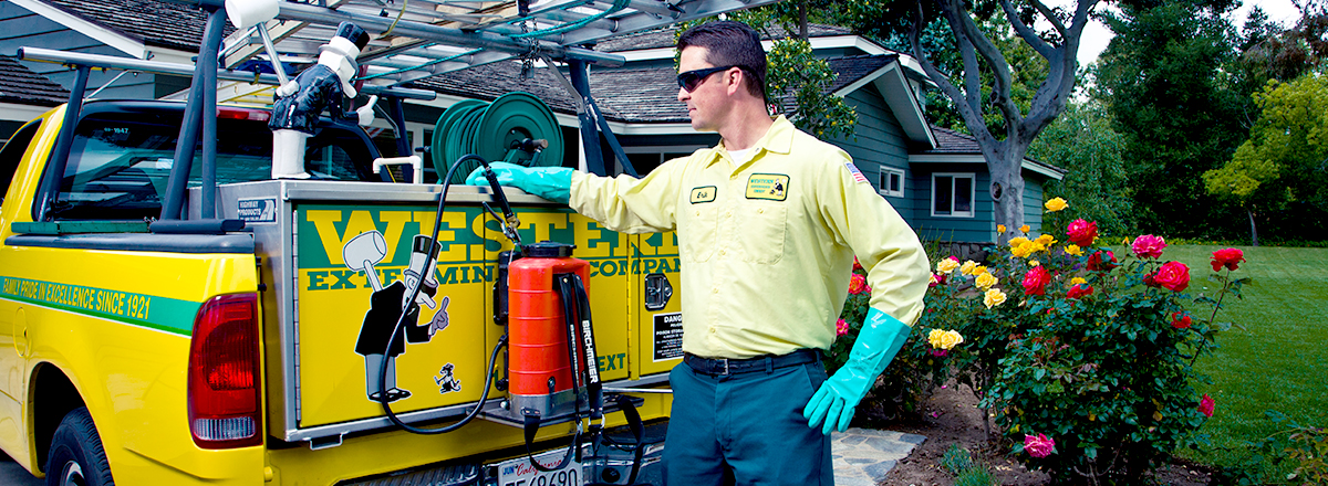 Exterminator Portland'