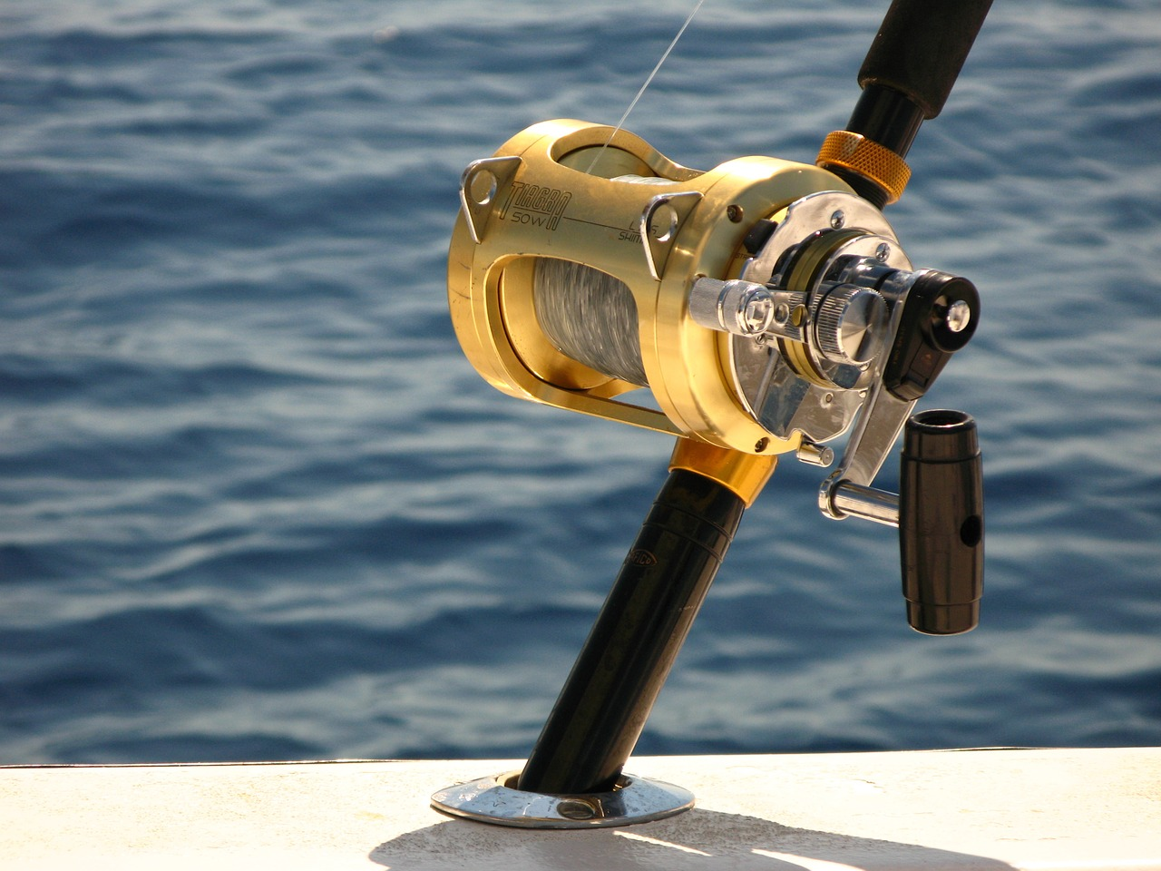deep sea fishing'