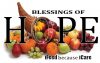 Company Logo For Blessings of Hope'