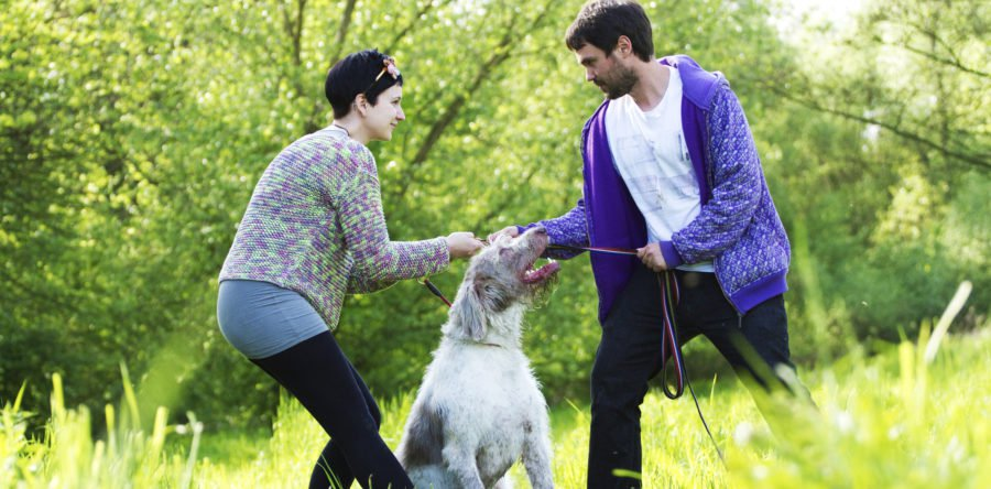 Report: Rise in Pet-Nuptial Agreements in New York'