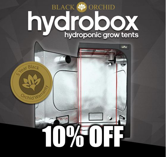 Green Spirit Hydroponics'