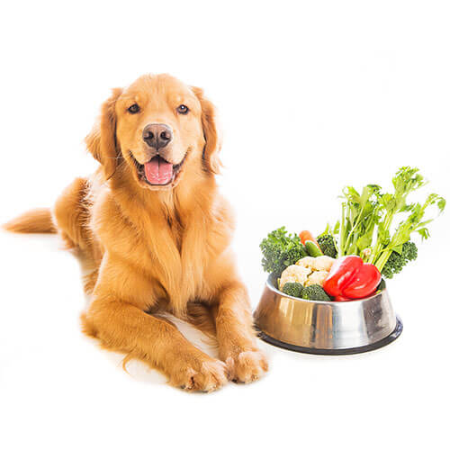 Pet Care Packaging Market'