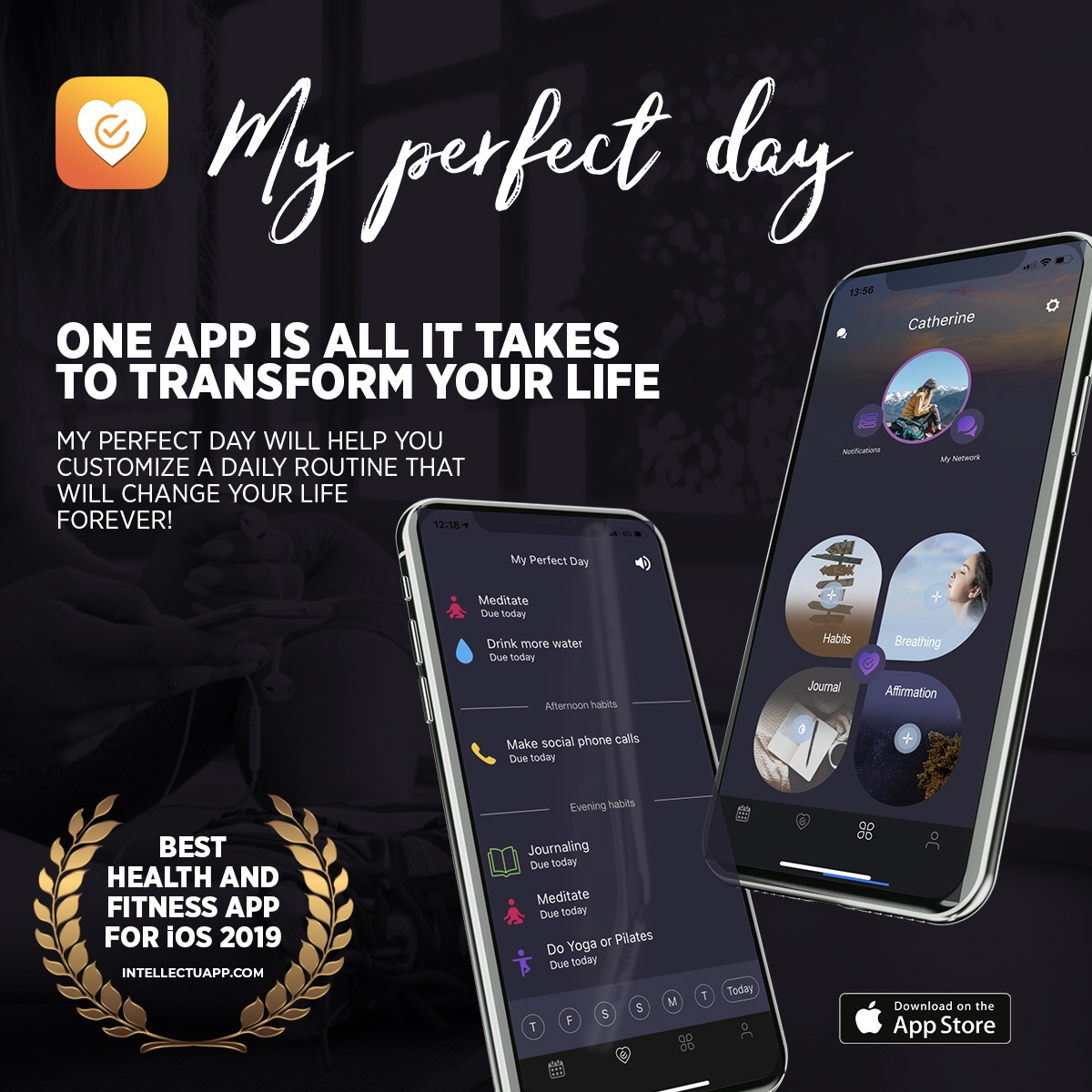 My Perfect Day