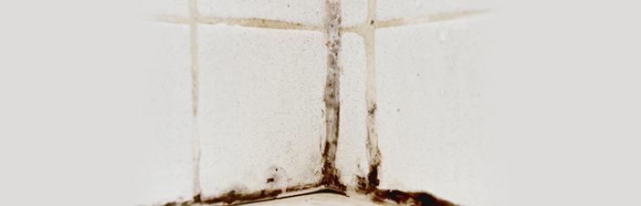 Paint Removal'