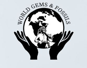 Company Logo For World Gems &amp; Fossils'