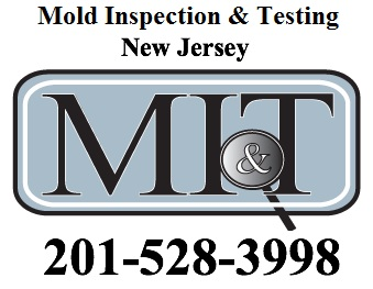 Mold Inspection & Testing