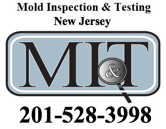 Mold Inspection &amp; Testing'