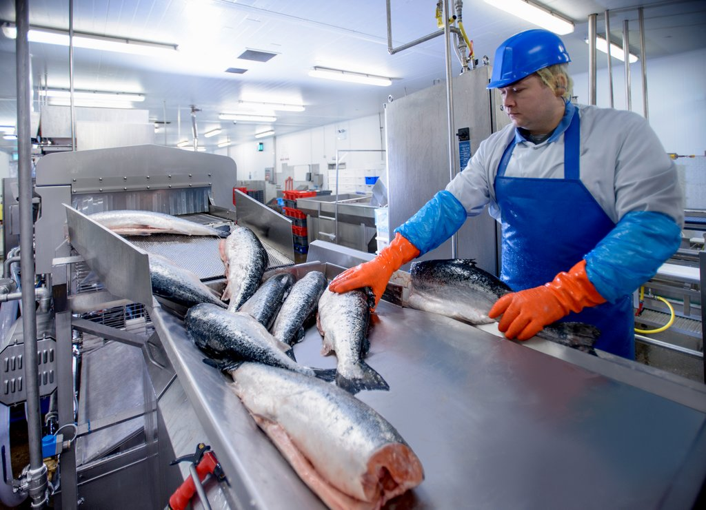 Seafood Safety Testing Market'