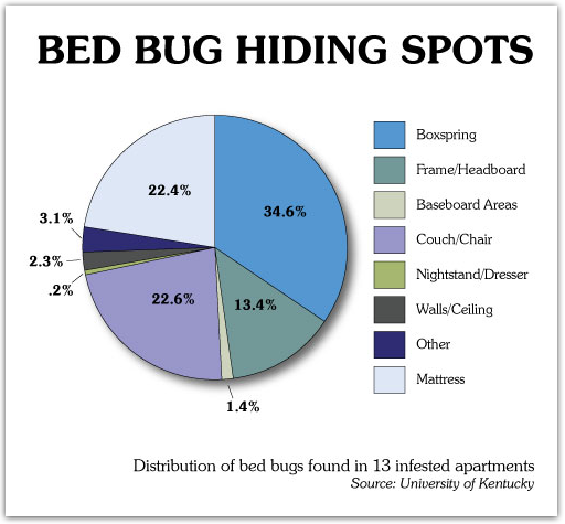 GetRidOfBedBugsAtHome.com