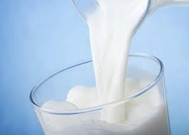 Milk Protein Market