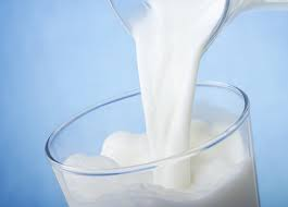 Milk Protein Market'