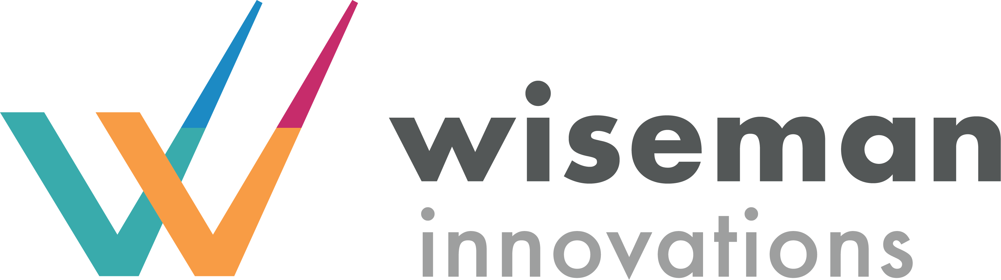 Wiseman Innovations LLC Logo