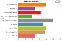 Catalysts Enzymes Market
