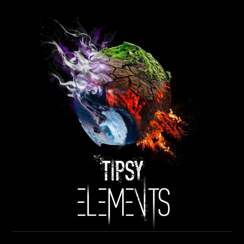 Company Logo For Tipsy Elements'