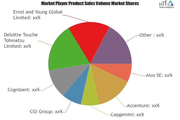 Software Consulting Market