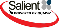 Company Logo For Salient IT'