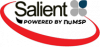 Company Logo For Salient IT'