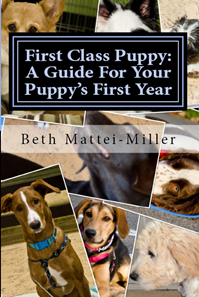 First Class Puppy
