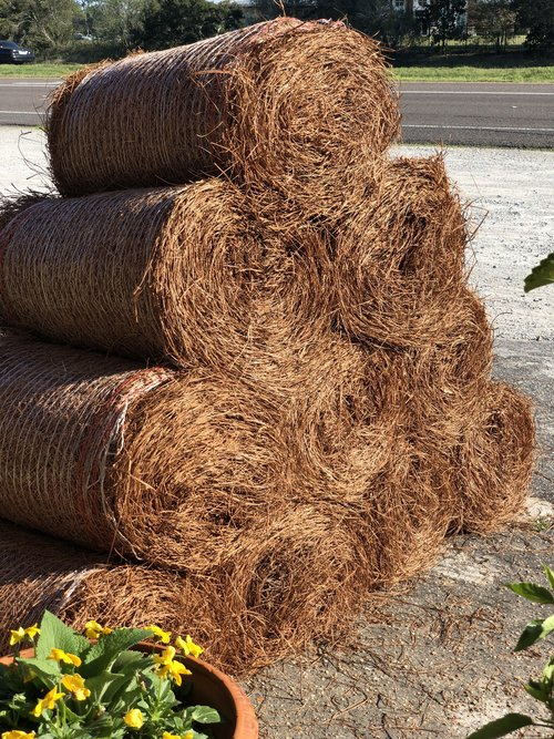Pine Straw'