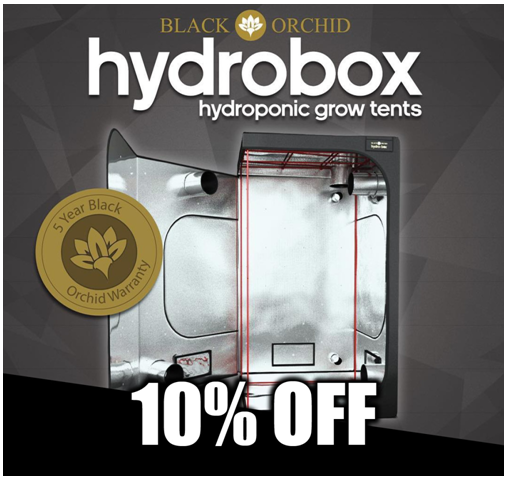 Green Spirit Hydroponics