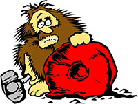 Natural Stone Veneer'