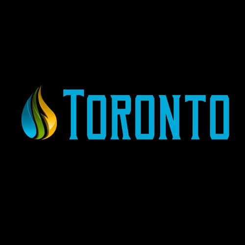 Company Logo For Water Mold Fire Restoration of Toronto'