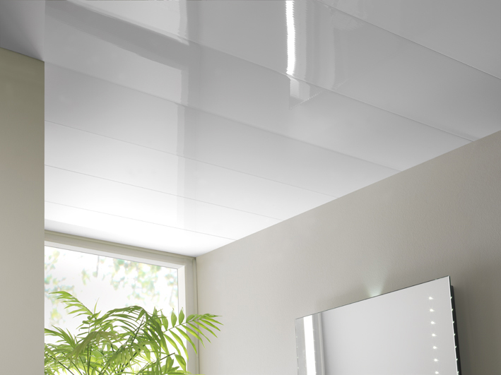 Wall and Ceiling Panels Market'