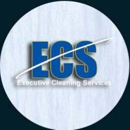 Company Logo For Executive Cleaning Services'