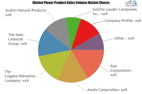 Organic Hair Care Products Market'