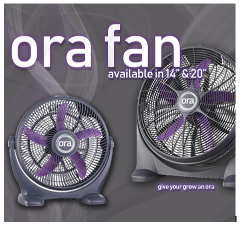 Green Spirit Hydroponics