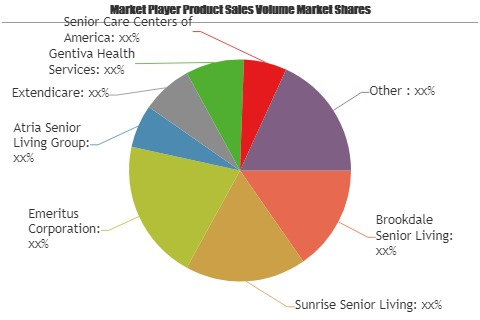 Nursing Care Facilities Market Is Booming Worldwide by 2025'