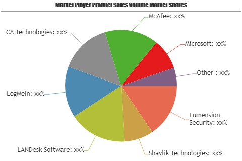 Patch and Remediation Software Market'