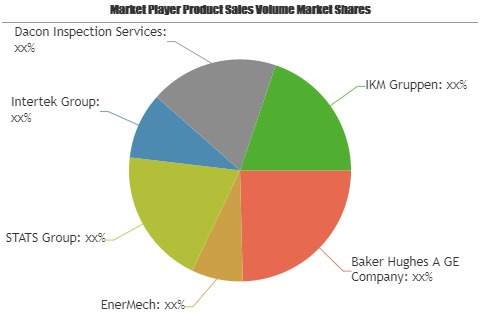 Pipeline Maintenance Services Market'
