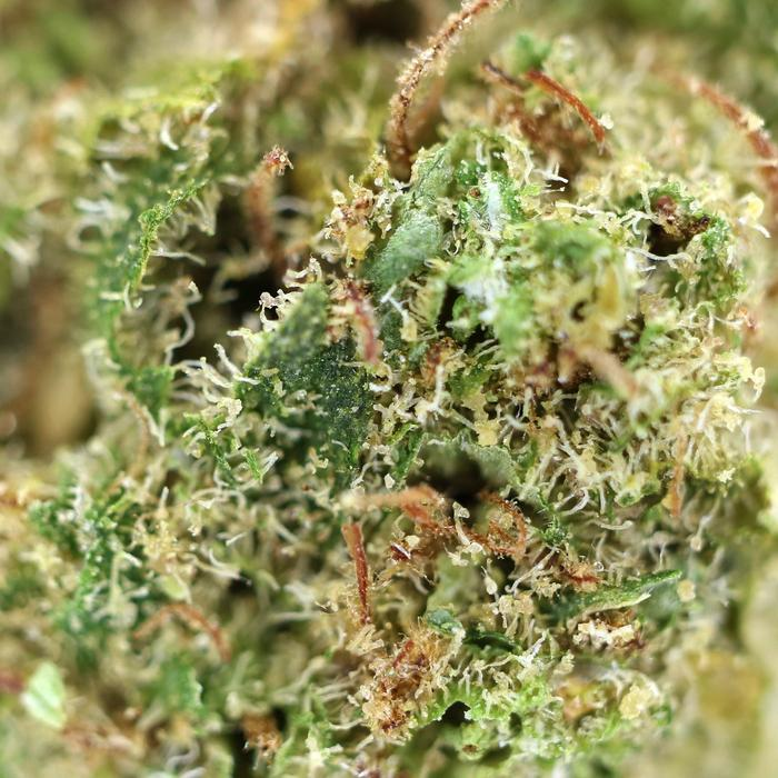 Marijuana Canada'