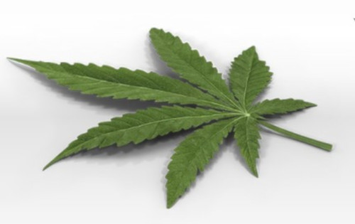 Mail Order Weed'