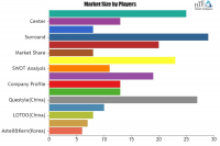 Hi-Fi Player Market – Major Technology Giants in B