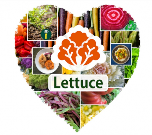 Lettuce Networks'