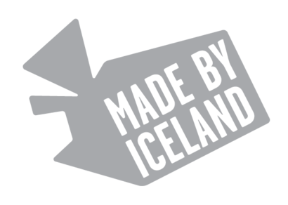 Caving Tours Iceland'