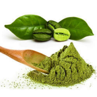 Green Coffee Extract Market