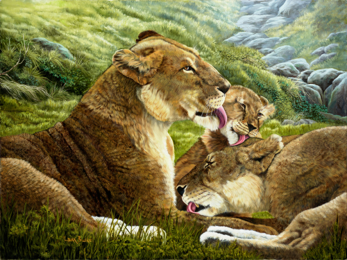 Lion Family Print'
