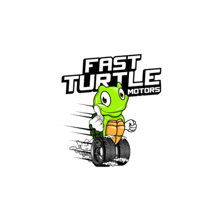 Company Logo For Fast Turtle Motors'
