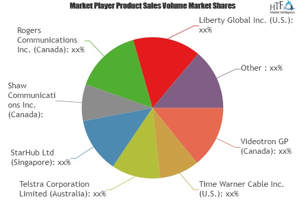 Cable Modem Subscribers Market'