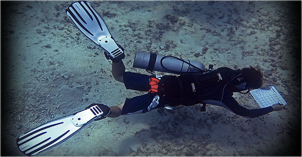 Industry Award Winning Platinum PADI CD Holly Macleod