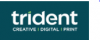 Company Logo For Trident Design'
