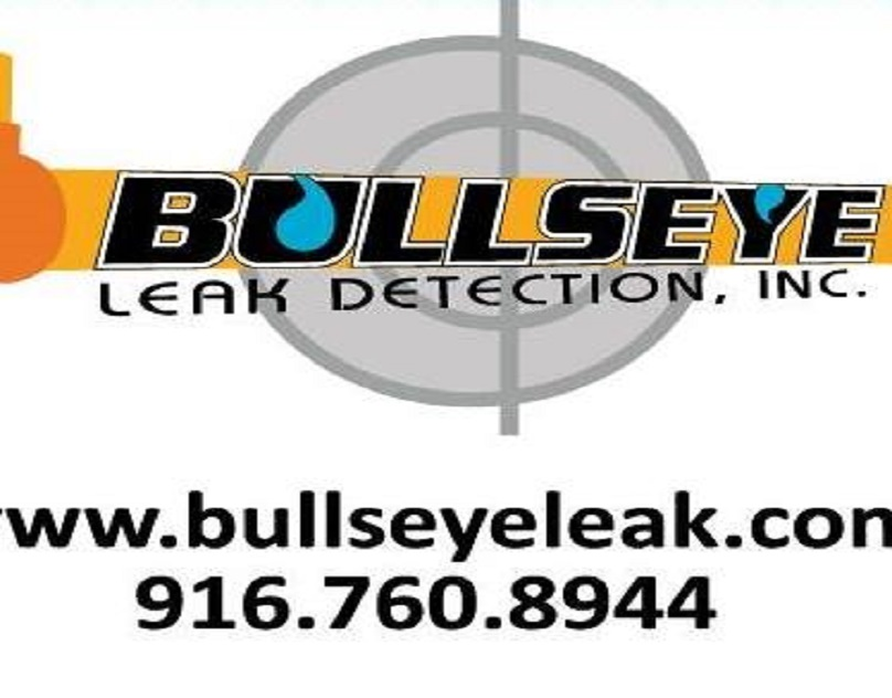 Company Logo For Bullseye Leak Detection, Inc.'