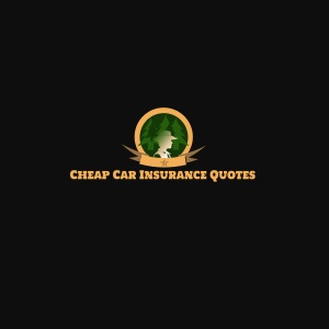 Company Logo For Salings Car Insurance Jacksonville FL'