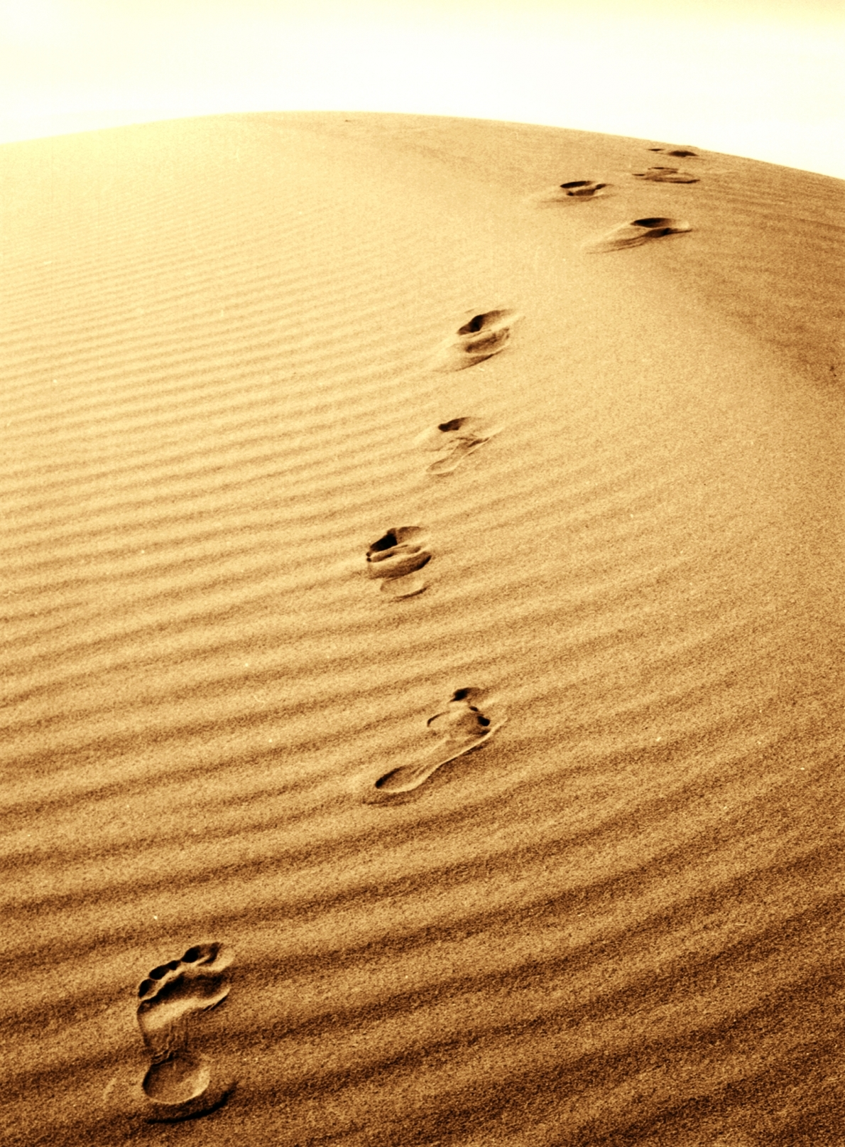 Logo for Calvary Austin'