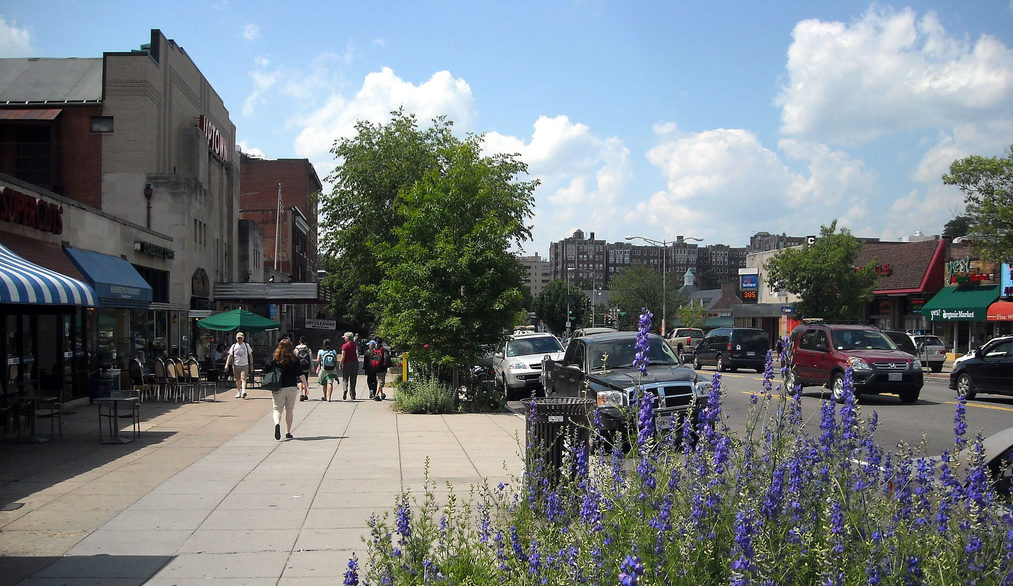 Apartments For Rent DC'