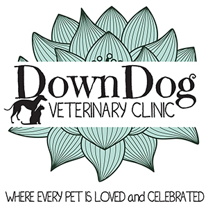 DownDog Veterinary Clinic Logo