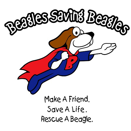 Company Logo For Beagle Rescue, Education, and Welfare (BREW'